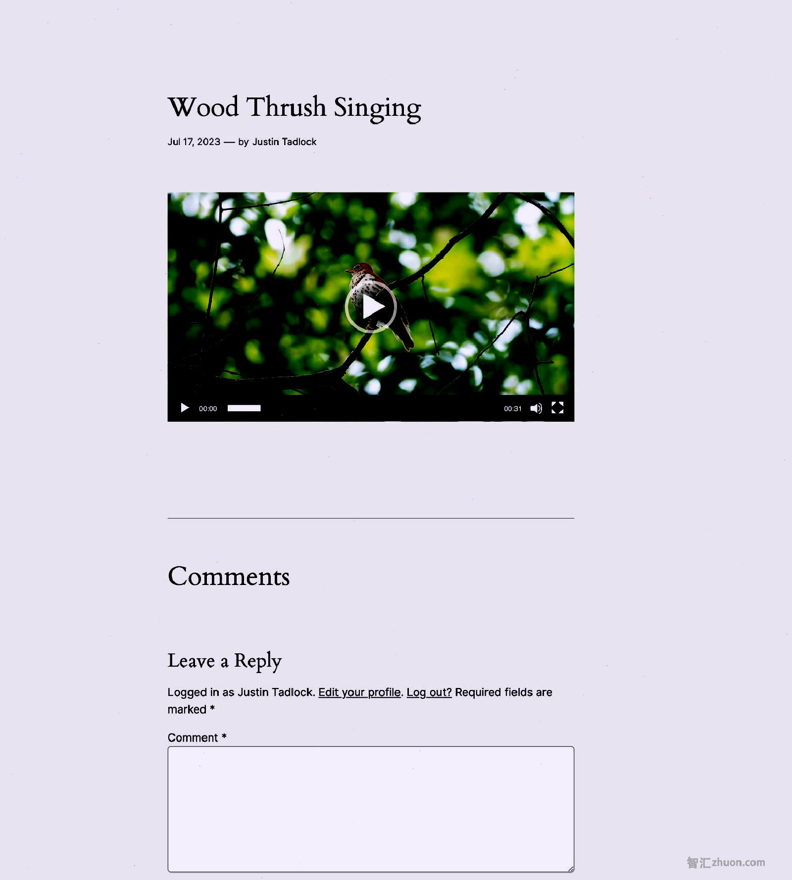 Screenshot of a video attachment page of a bird.