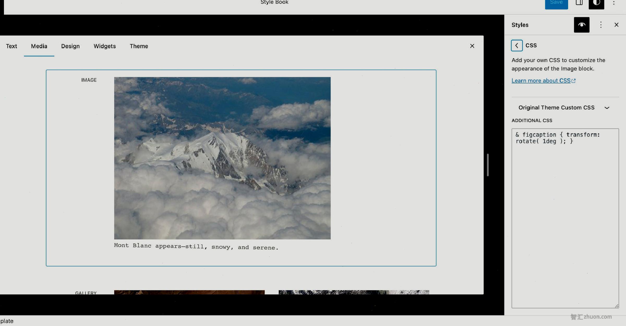 WordPress Style Book with the Image block selected and a slanted caption. On the right, the Additional CSS field is shown with custom CSS code for the caption.