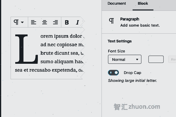 A screenshot of the Paragraph block's advanced settings in the sidebar