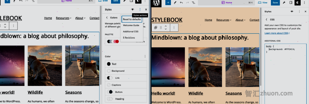 A screenshot showing the use of the Style Book Custom CSS feature to change the global background color