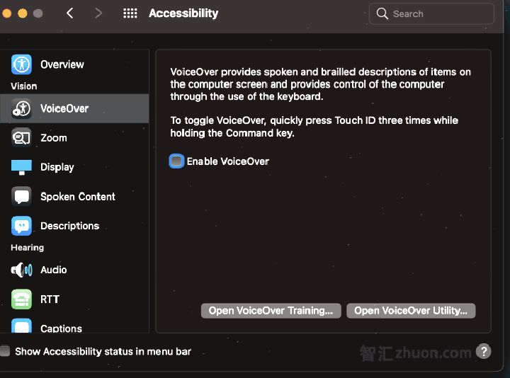 macOS accessibility preferences panel