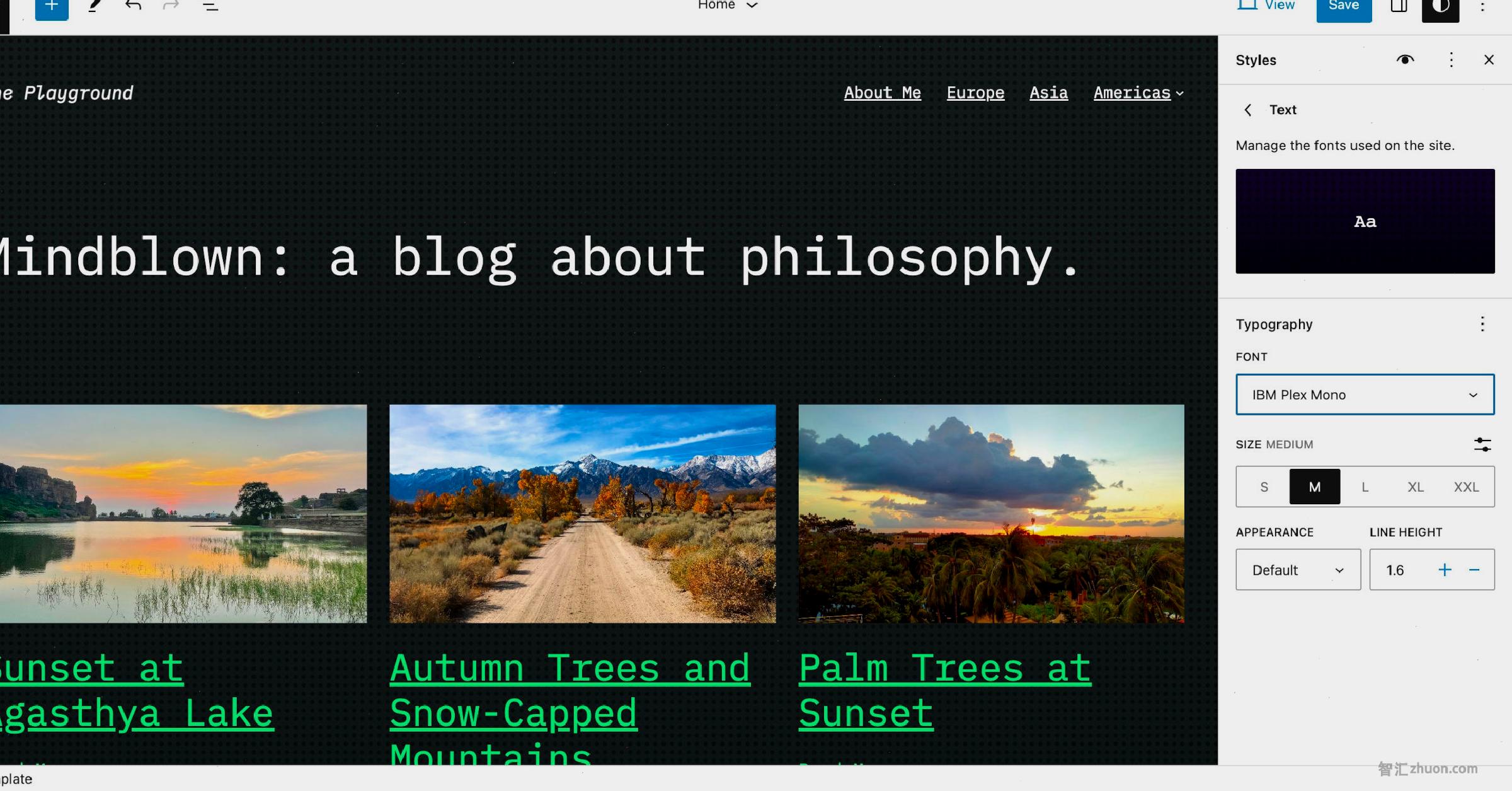 The WordPress site editor showing the homepage template with a dotted black background and a three-column grid of posts.