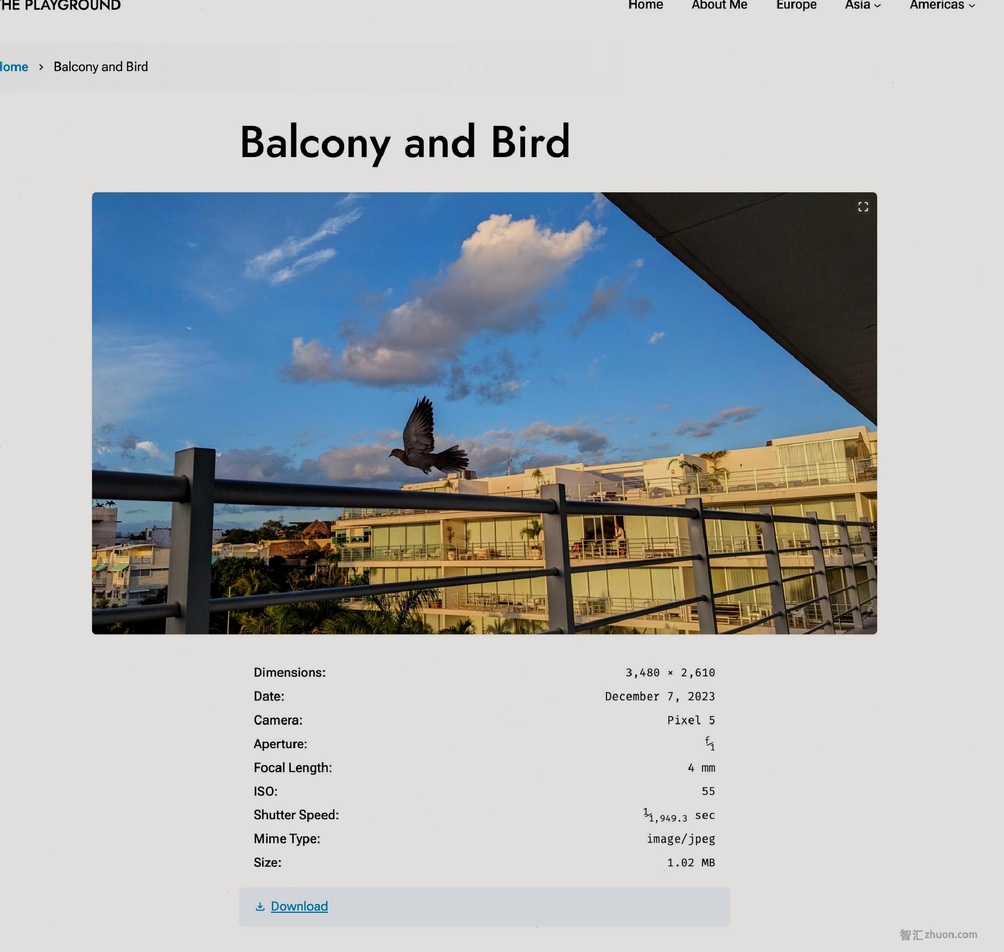 Image attachment page that shows a wide image of a bird flying from a balcony rail. Below the image is a list of the photograph metadata.