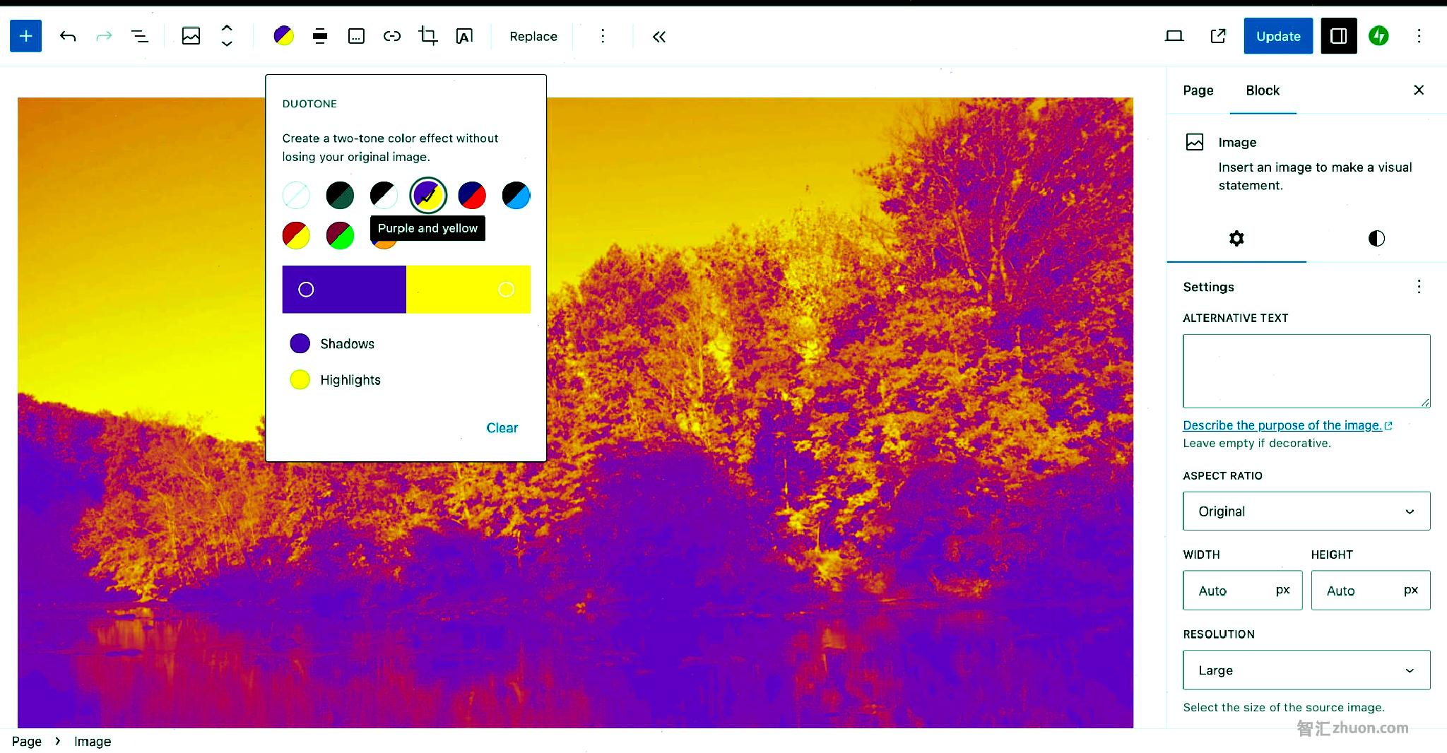 WordPress post editor with a purple and yellow duotone filter applied to an Image in the content canvas.