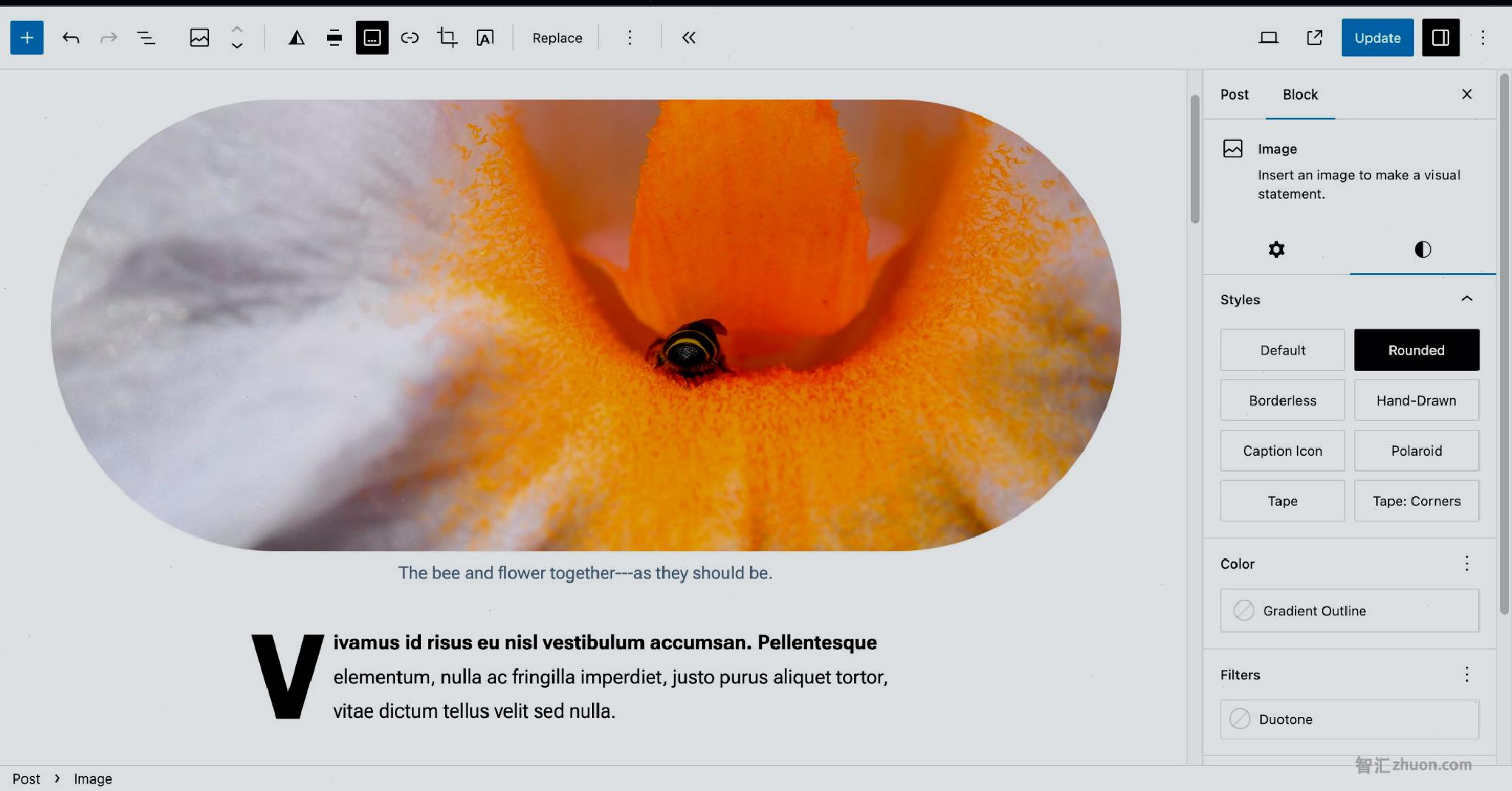 WordPress post editor showing an Image block with a rounded style in the content canvas.