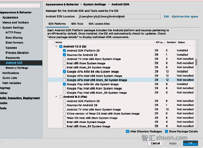 Screenshot of the package manager displaying SDK Platforms.