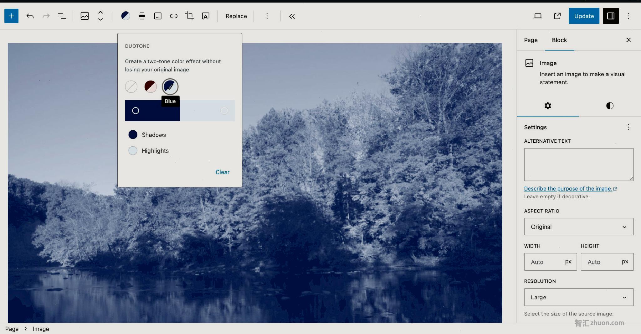 WordPress post editor with a blue-tinted duotone filter applied to an Image block.