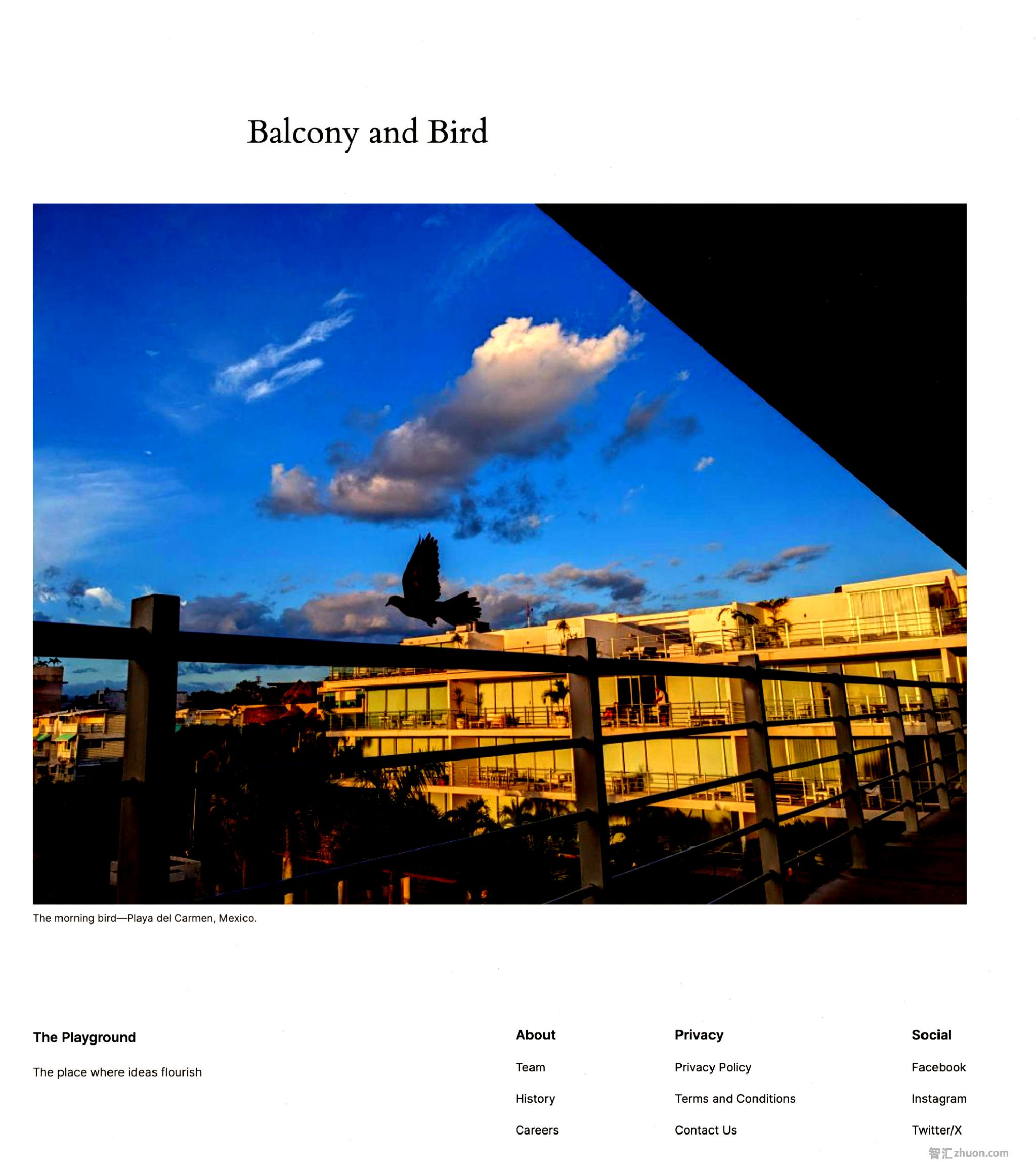 Screenshot of an attachment image page. The image is of a bird and balcony.