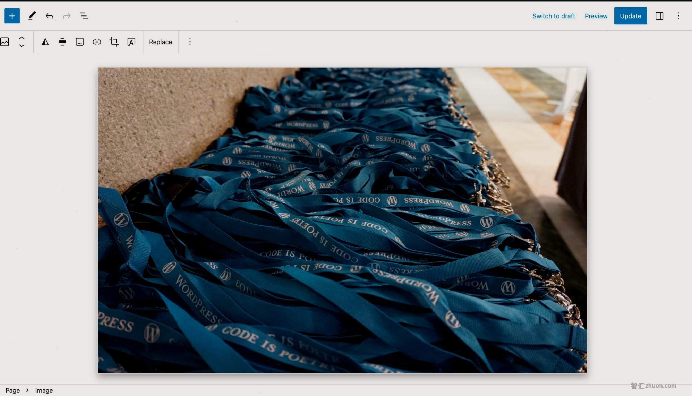 WordPress post editor with an image block that displays lanyards. The image has a large light gray shadow around it.