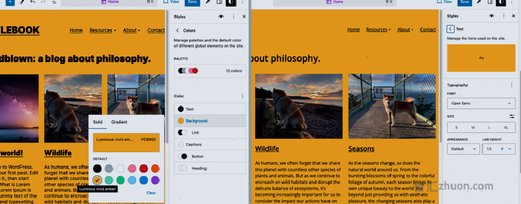 A screenshot showing how Style Book can be used to modify the global background color and text fonts