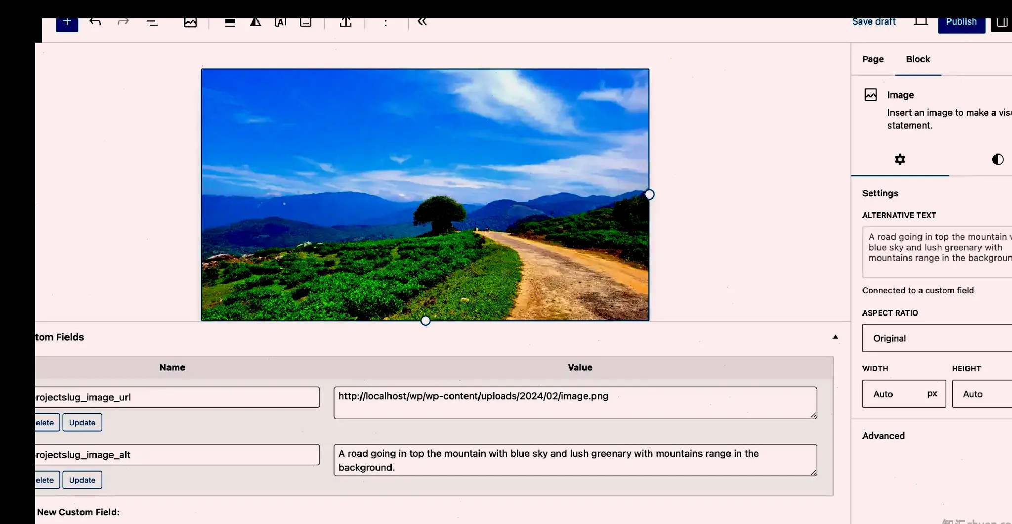 WordPress post editor that displays an image of a road and mountains. At the bottom of the editor are two custom fields associated with the image URL and alt text.