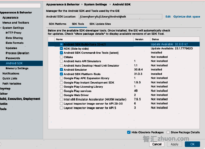 Screenshot of the package manager displaying SDK Tools.